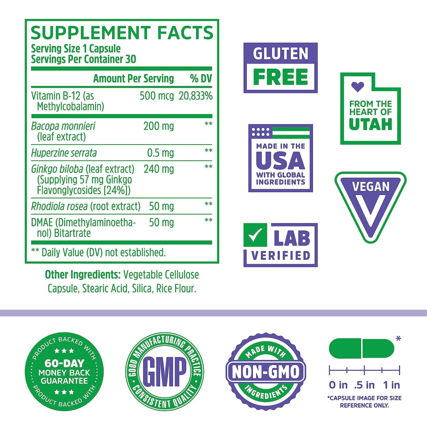 Zhou Neuro Peak Brain Support Supplement | Memory, Focus & Clarity Formula | DMAE - Maple Wellness Supplements