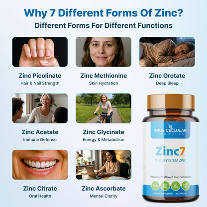 Zinc7: 7-in-1 Zinc Complex 50mg - Maximum Absorption for Immune Defense, Deep Sleep & All-Day Energy | Hormone Balance, Mental Focus - Maple Wellness Supplements