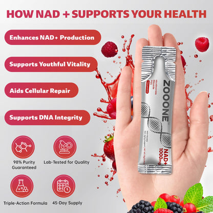 zooone- NAD+ Supplement 30pcs, Premium Nicotinamide Riboside & Resveratrol, DNA Repair & Healthy Aging， Advanced NAD Supplement for Men & Women, Boosts Cellular Energy. - Maple Wellness Supplements