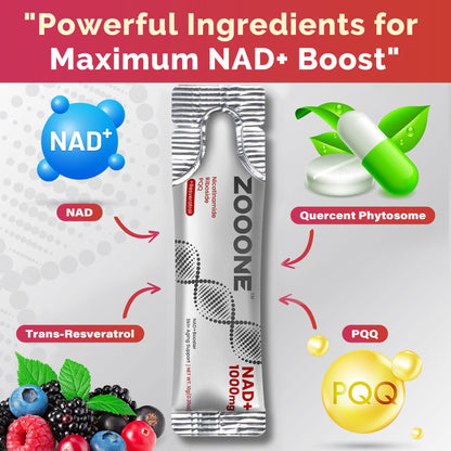 zooone- NAD+ Supplement 30pcs, Premium Nicotinamide Riboside & Resveratrol, DNA Repair & Healthy Aging， Advanced NAD Supplement for Men & Women, Boosts Cellular Energy. - Maple Wellness Supplements
