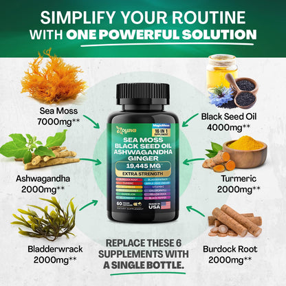 Zoyava Sea Moss 16-in-1 and Lutein 6-in-1 Bundle - Maple Wellness Supplements